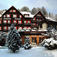 Chalet Rotstocki
