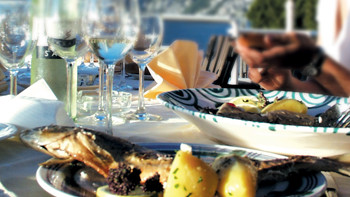 Lake Hotel "Das Traunsee"