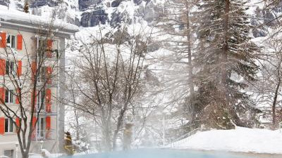 Hotel Les Sources des Alpes