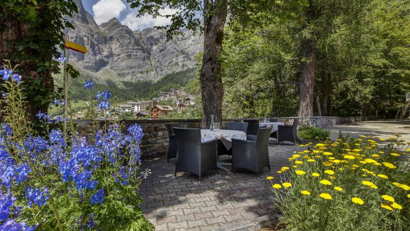 Hotel Les Sources des Alpes