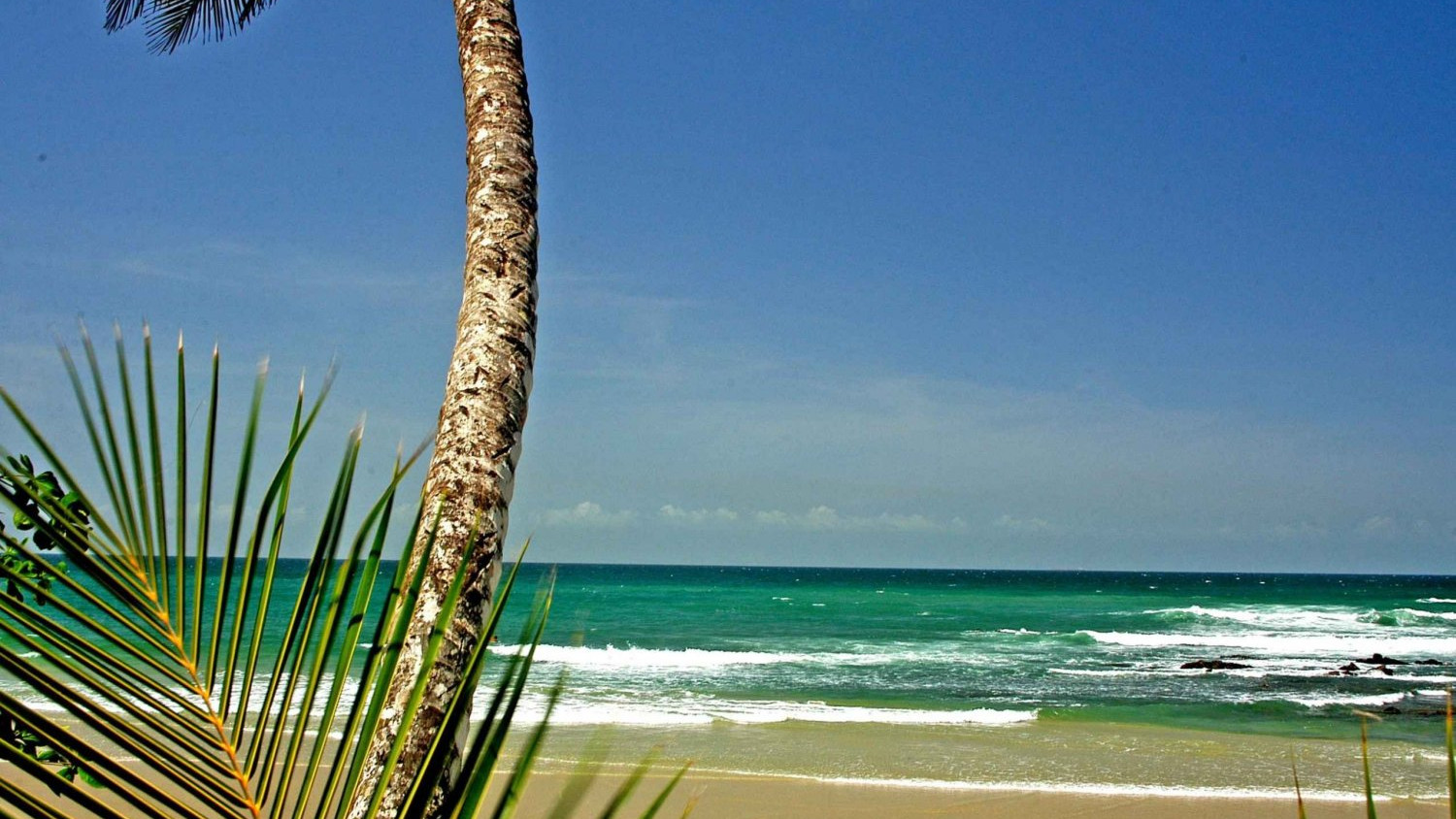 Тринидад и Тобаго