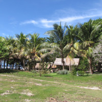 Соломоновы Острова