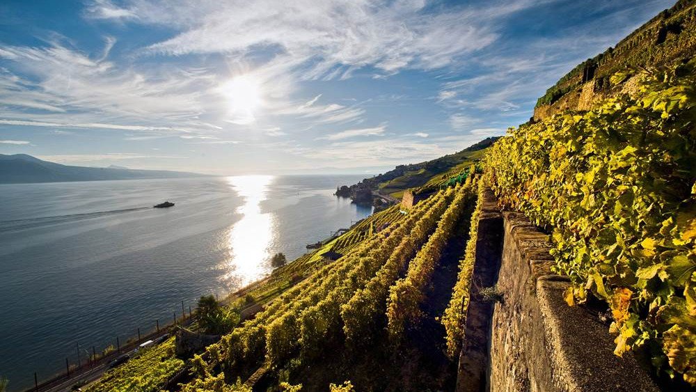 Тур "Золотой перевал" по субботам 8 дней