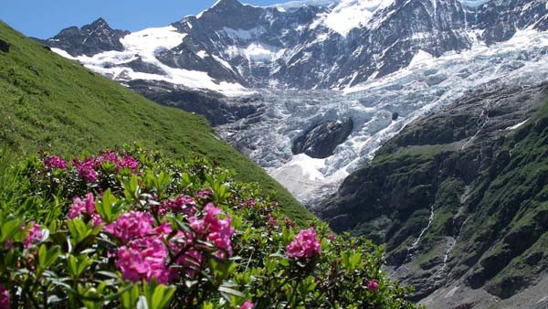 Гриндельвальд