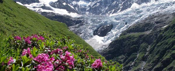 Гриндельвальд