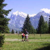 Гриндельвальд