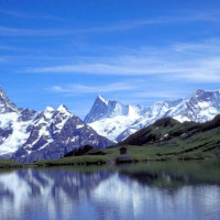 Гриндельвальд