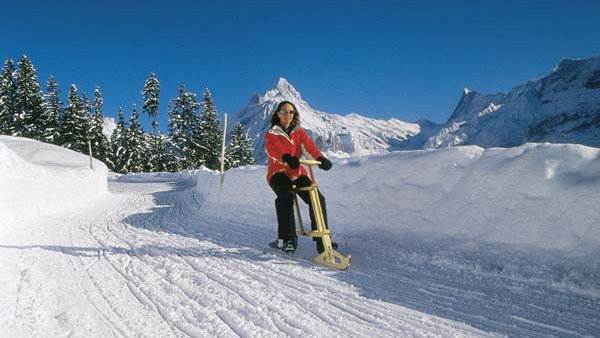 Гриндельвальд