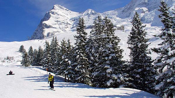 Гриндельвальд
