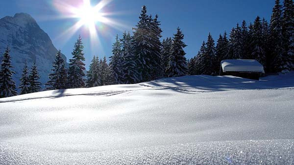 Гриндельвальд