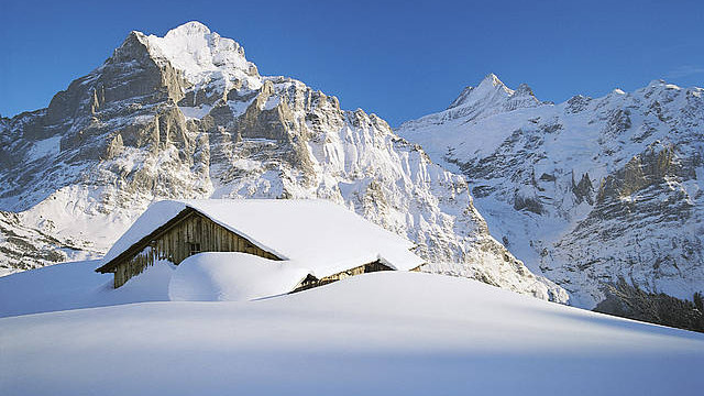 Гриндельвальд