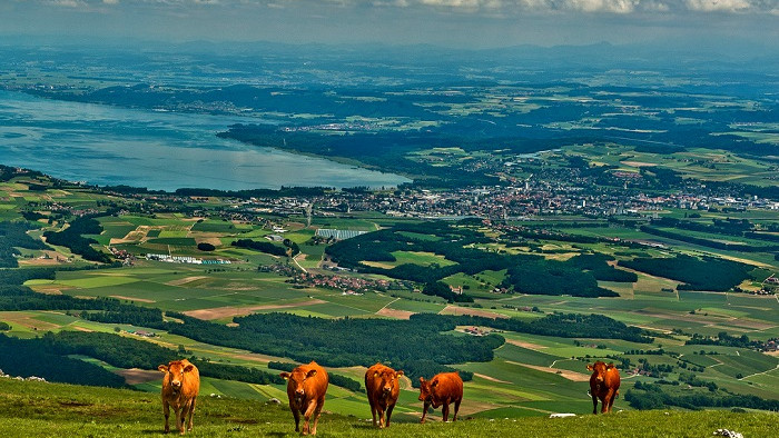 Ивердон Ле Бан