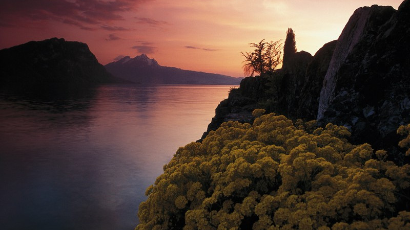 Бюргеншток