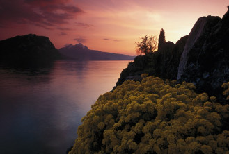 Бюргеншток