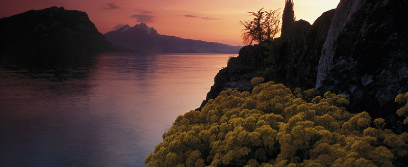 Бюргеншток