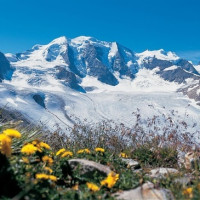 Понтрезина