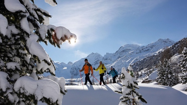 Понтрезина