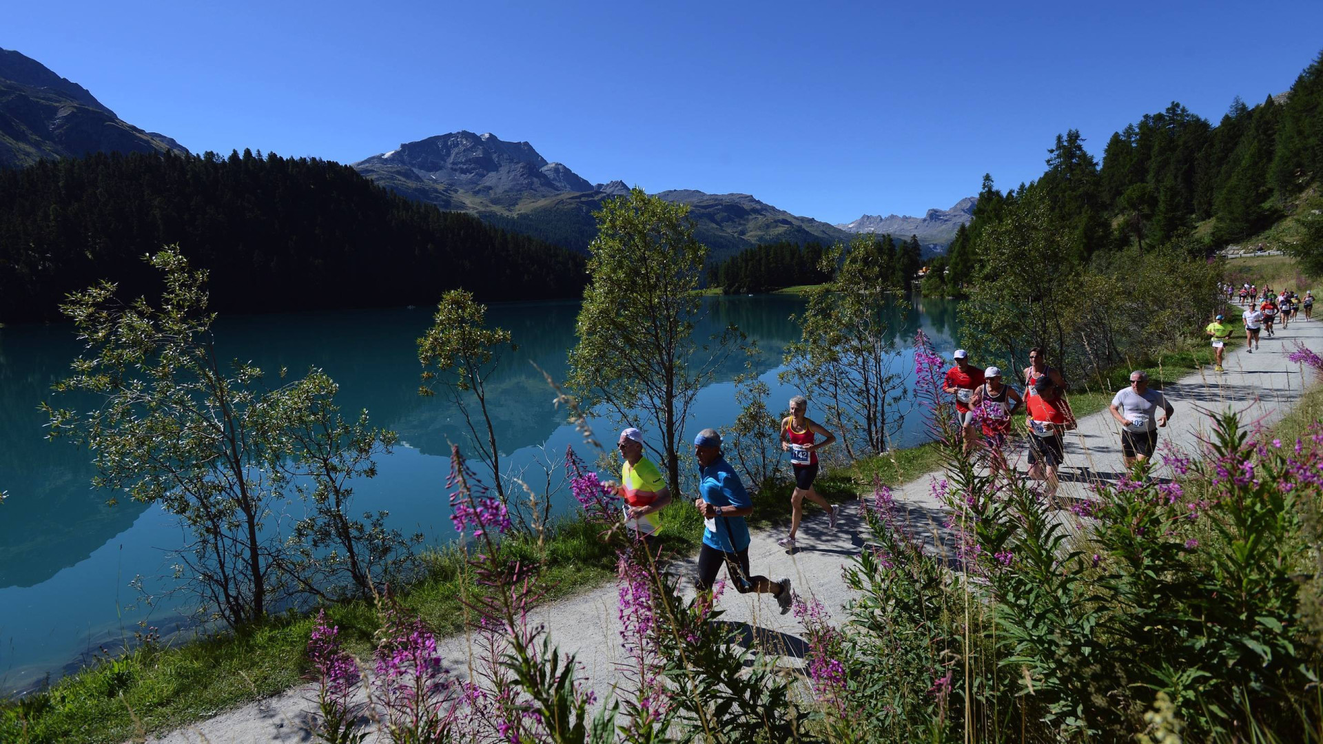 Понтрезина