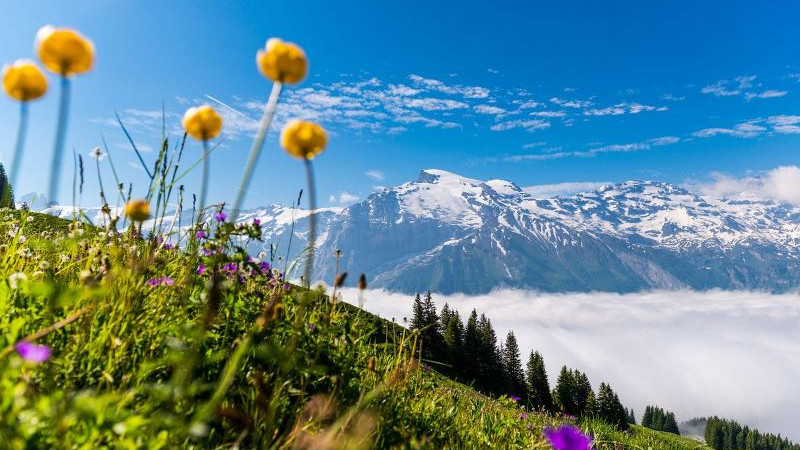 Энгельберг