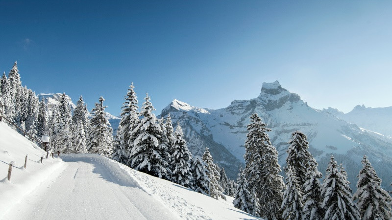 Энгельберг