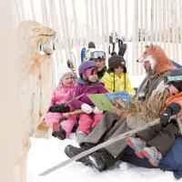 Флимс-Лаакс