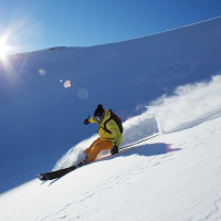 Флимс-Лаакс