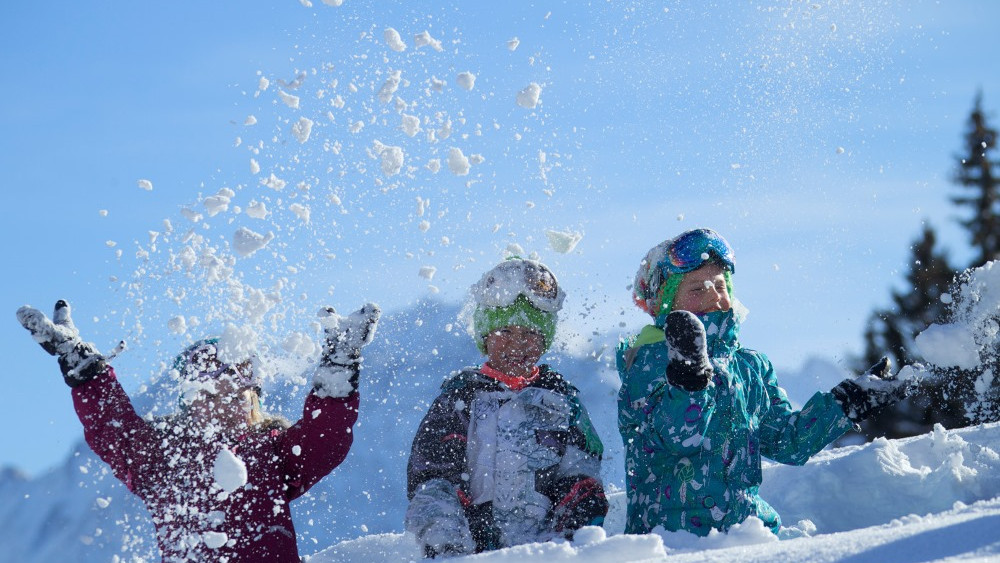 Флимс-Лаакс