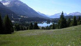 Ленцерхайде