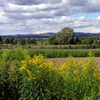 Бад Татцманнсдорф