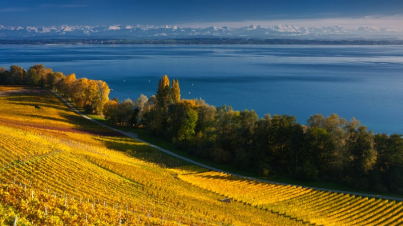 Озеро Невшатель