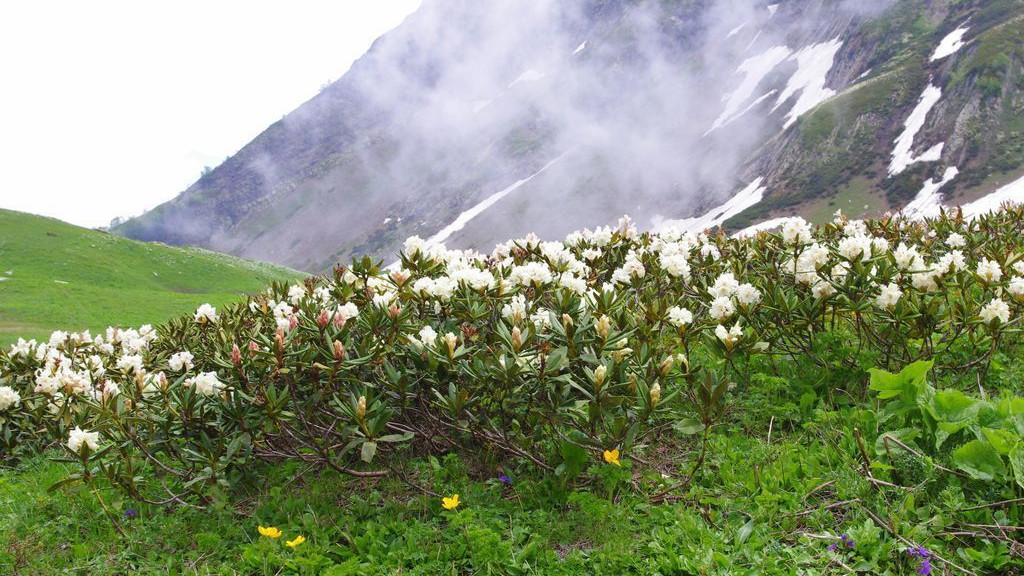 Красная Поляна