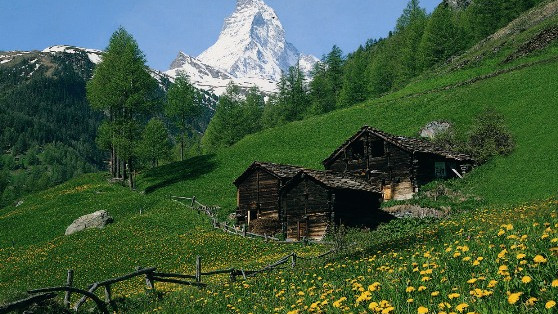 Seiler Hotel Mont Cervin Palace & Residence