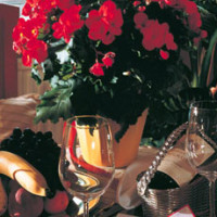 Sheraton Salzburg Hotel