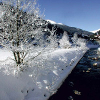 Hoteldorf Gruener Baum